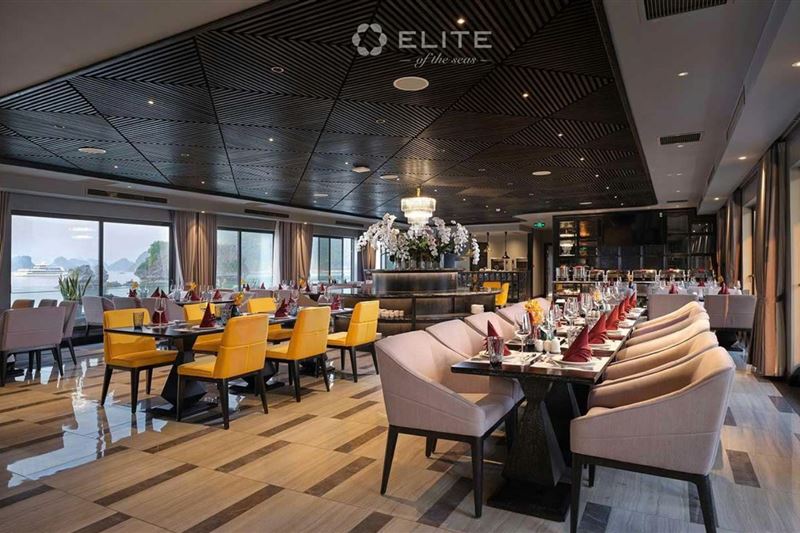  [프리미엄] 엘리트 오브 더 씨 크루즈 1박 2일 (하이퐁 코스) ELITE OF THE SEAS CRUISE 2D1N (HAI PHONG ROUTE)